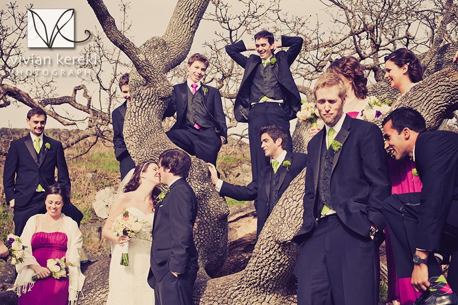 wedding party in tree